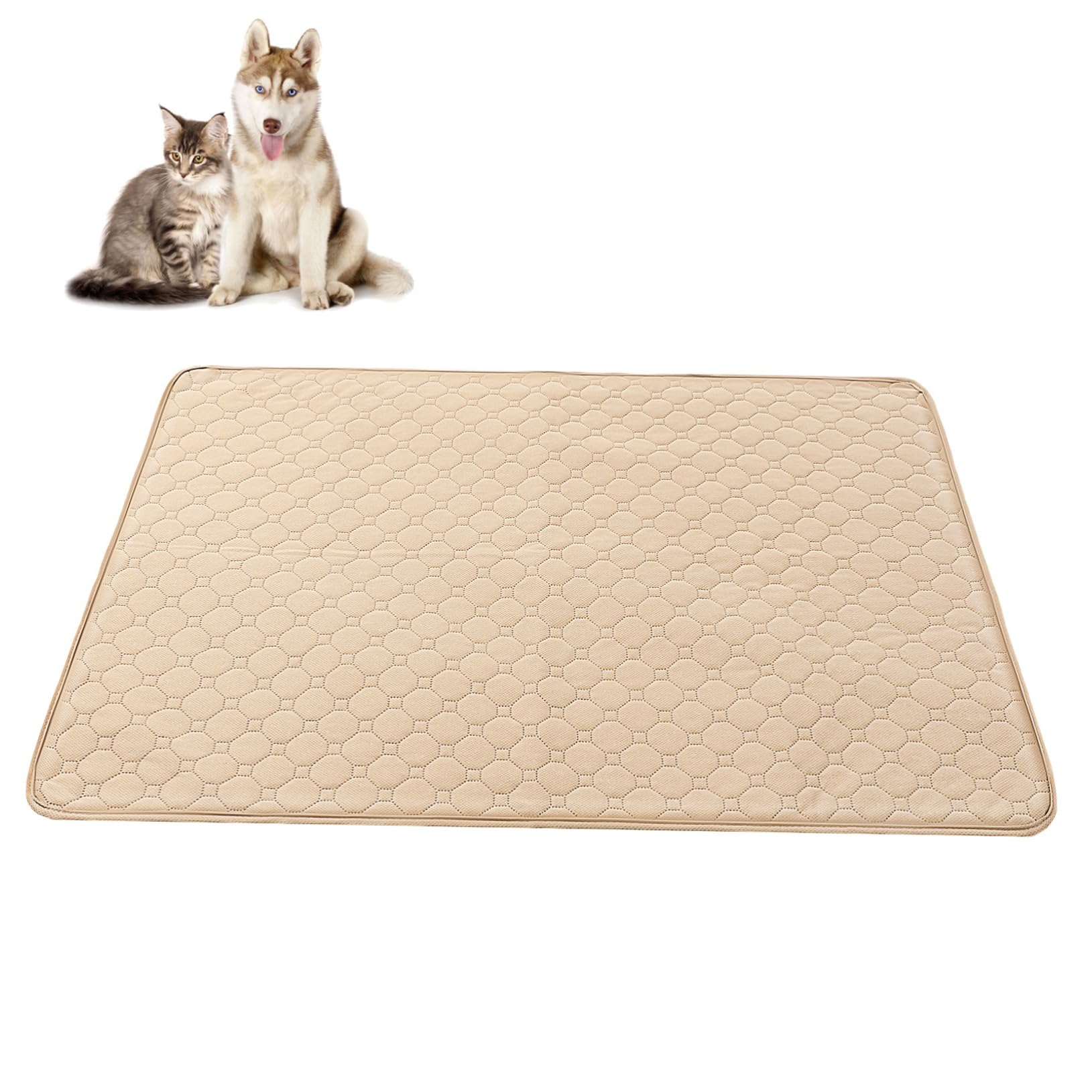2pezzi Tappetini Igienici Per Lavabili Tappetini Per Per Riutilizzabili Per Addestramento Al Vasino Superficie Assorbente Antiscivolo Adatti Pavimenti e Mobili