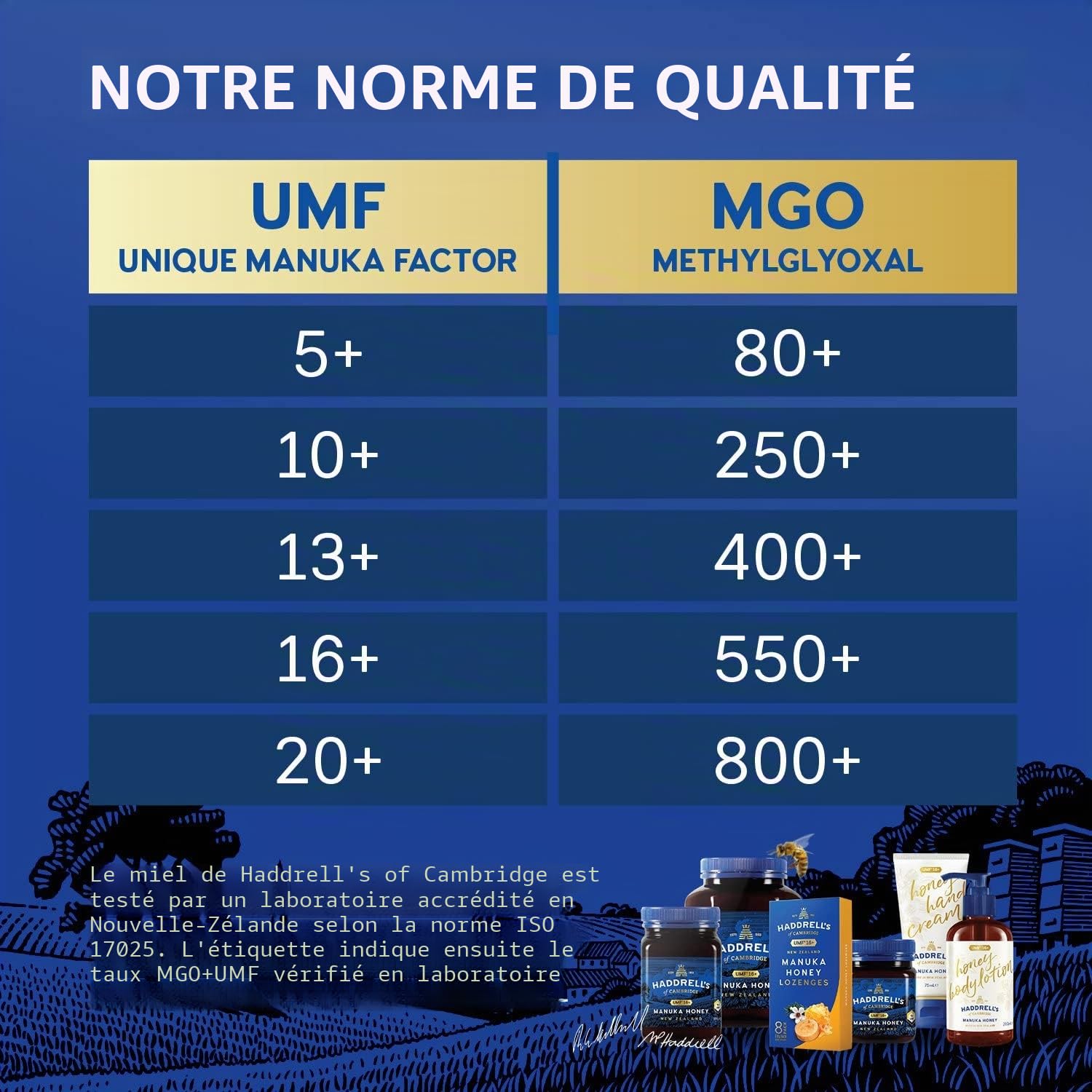 Haddrell's of Cambridge | Miel de Manuka MGO 850+ (UMF 20+) | Miel Pur de Nouvelle-Zélande | 250 g