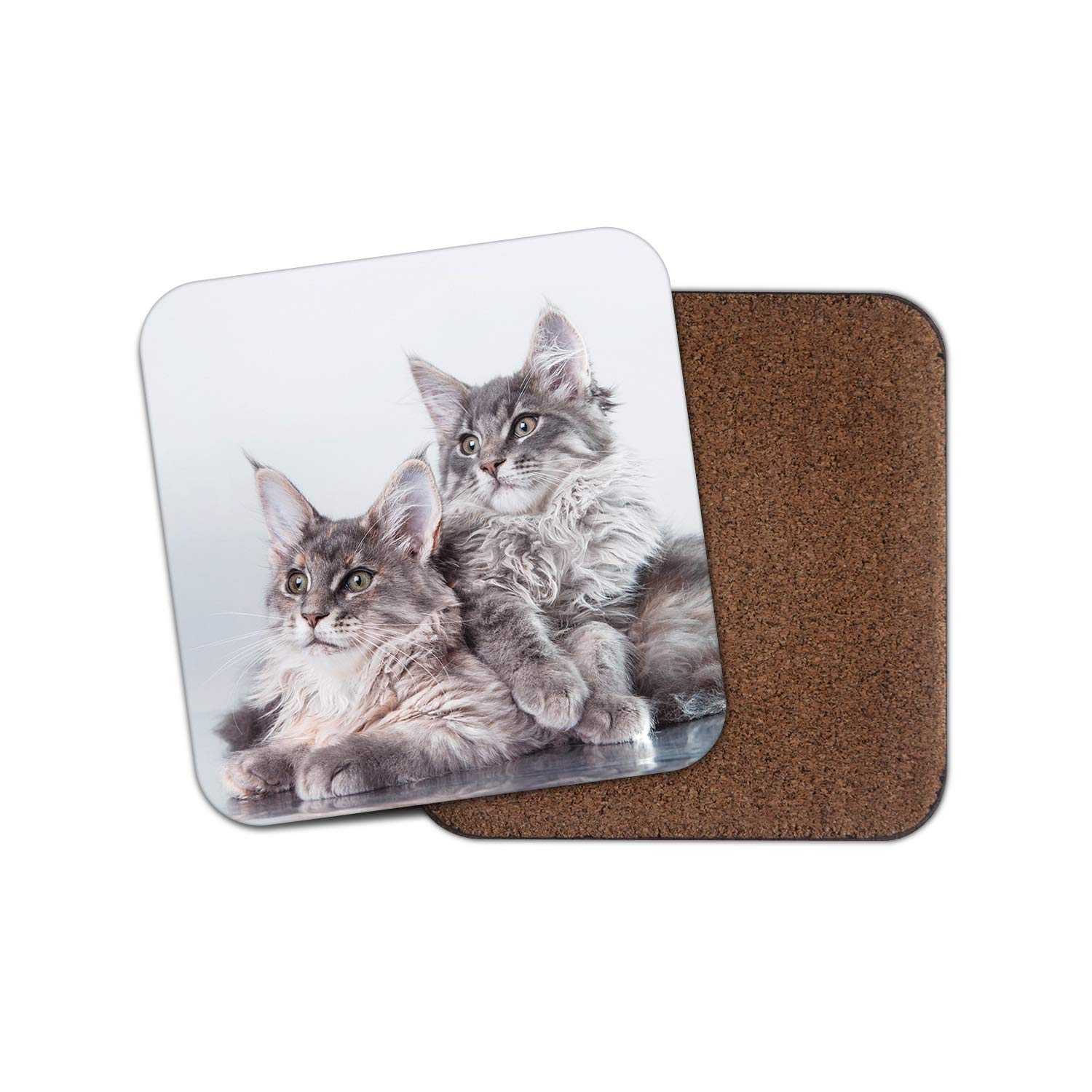 Destination Vinyl Ltd Multicolor 1 X Cute Maine Coon Kitten Cat Coaster - Feline Animals Pets Mum Aunt #15729
