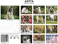 Vista 347 de Razas de Perros 2017