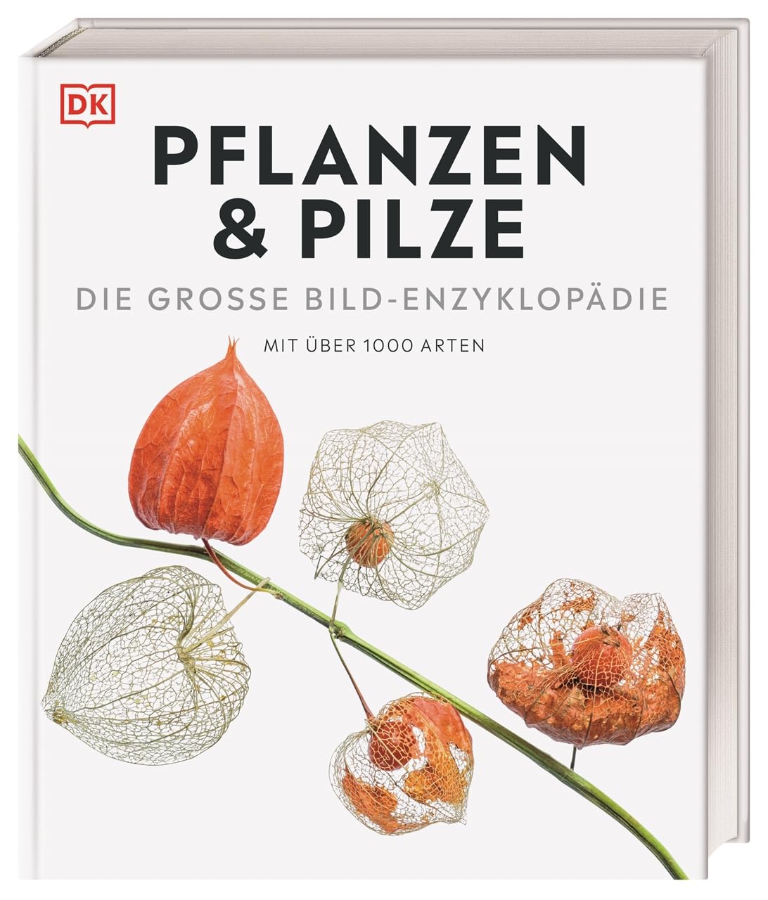 DK Bibliothek. Pflanzen & Pilze: Die große Bild-Enzyklopädie mit über 1000 Arten