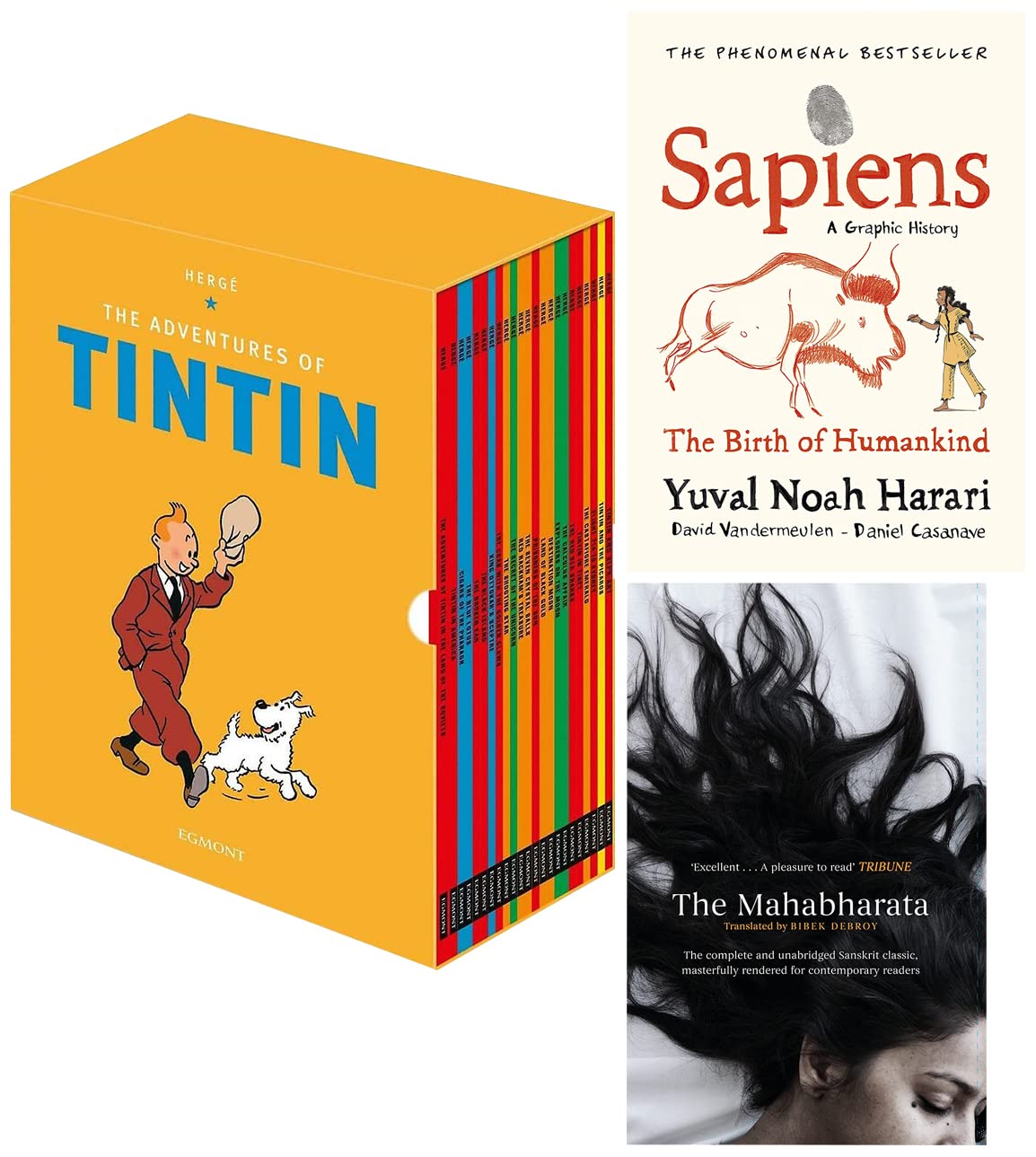 Tintin Paperback Boxed Set 23 titles & Sapiens A Graphic History