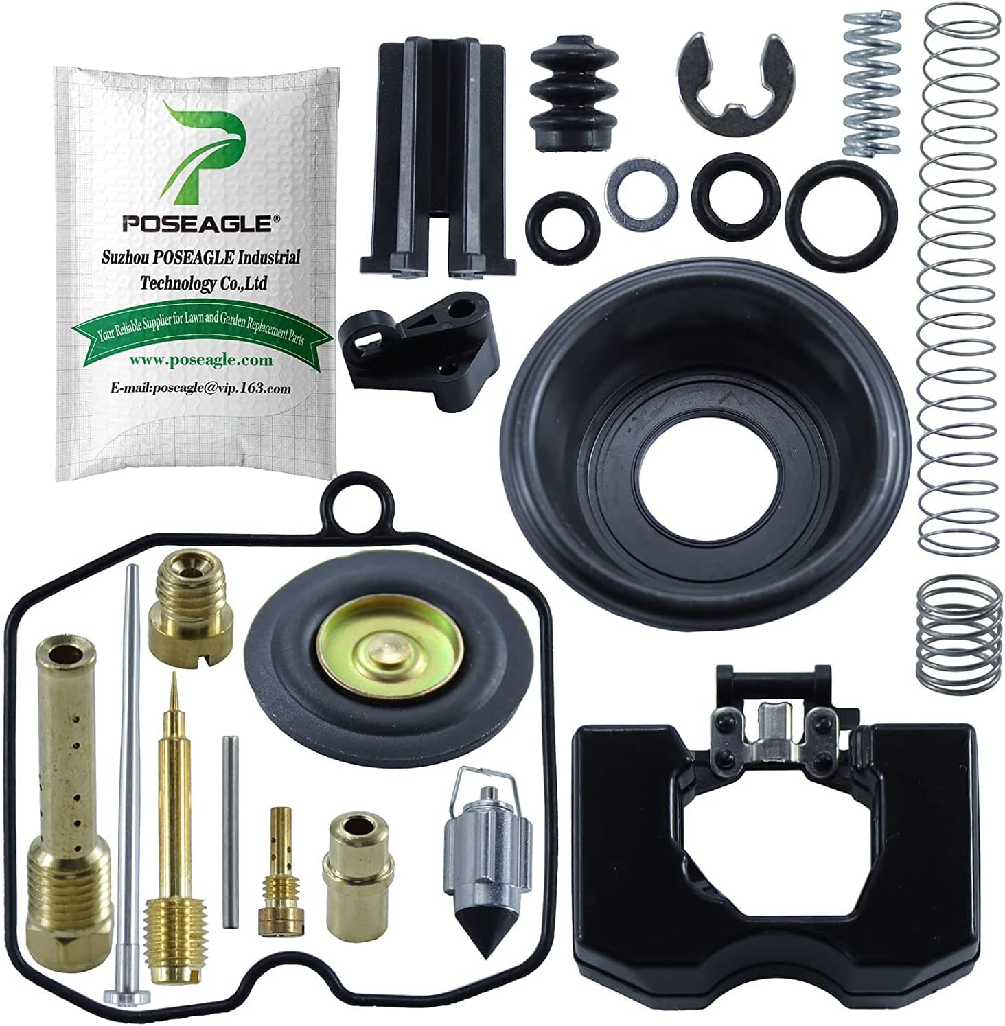 POSEAGLE Carburetor Repair Rebuild Kit for Harley Davidson