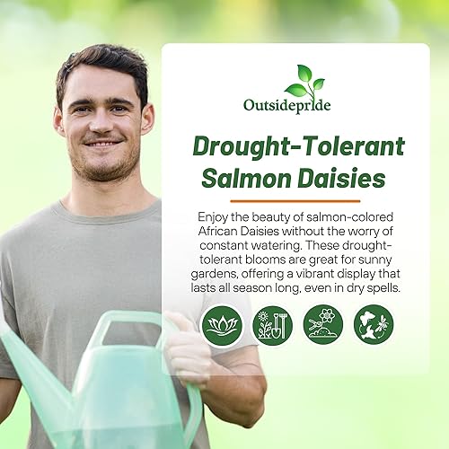 Miniatura 5 de Outsidepride Dimorphotheca Sinuata - Semillas de plantas de flores de salmón con margaritas africanas - 2000 semillas