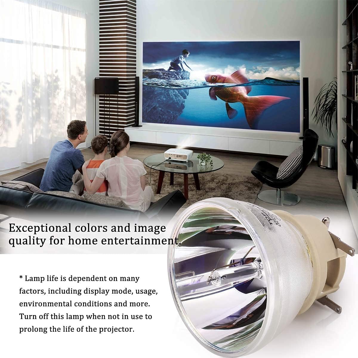 BL-FU240H Projektor Ersatzlampe für Optoma UHD3200A UHD65 UHD60 UHD51 UHD50 UHD42 UHD40 UHD35X UHD30 UHD300X UHD550X HD28HDR HD27HDR HD29HST HD145X HD146X HD152X HD143X HD144X Beamer Lampe