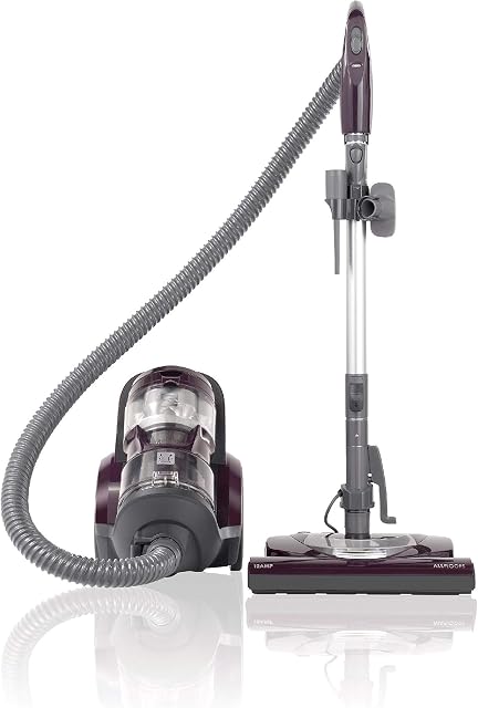 Kenmore 22614 Pet Friendly Bagless Canister Vacuum in Purple/Silver