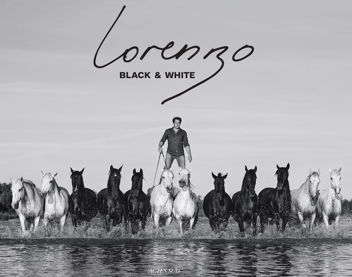 Lorenzo Black & White - Solution d'assise confortable contre la fatigue posturale