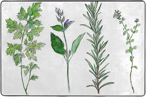 Amazon Co Jp ラグ マット ハーブ カーペット 絨毯 じゅうたん 敷マットインテリア おしゃれ 柄付き 滑り止め リビング 72 X48 ホーム キッチン