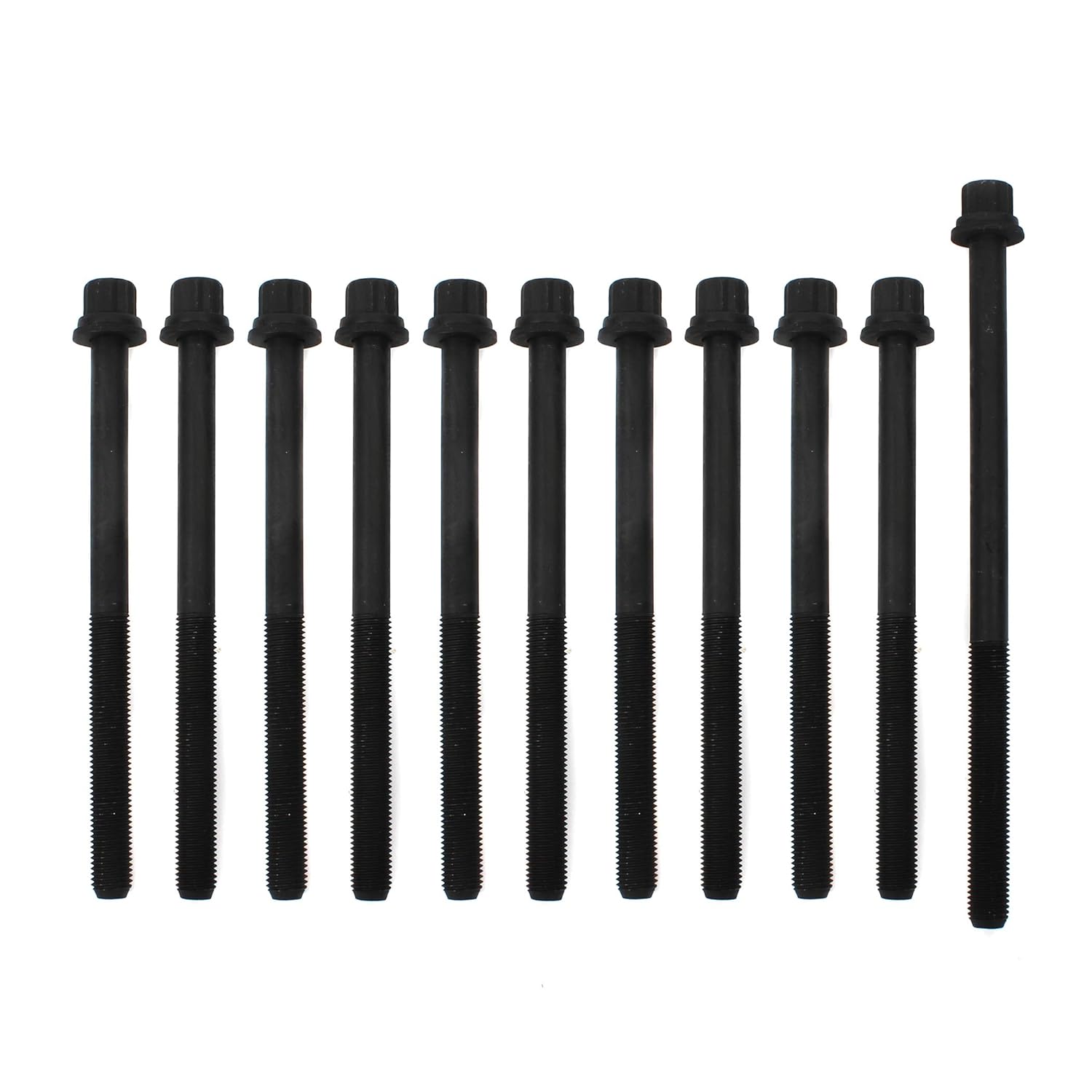 CNS Cylinder Head Bolt Set Compatible/Replacement for 90-97 Honda Accord DX EX LX SE/Prelude S 2.2L L4 SOHC 16V F22A F22B