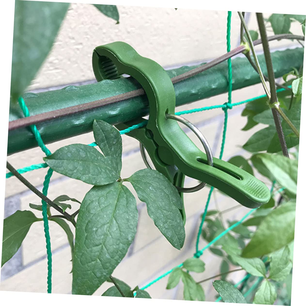 UKCOCO 4 Set Clip Fissaggio Piante per Giardinaggio E Facili da Installare E Riutilizzabili 10 Pezzi*4
