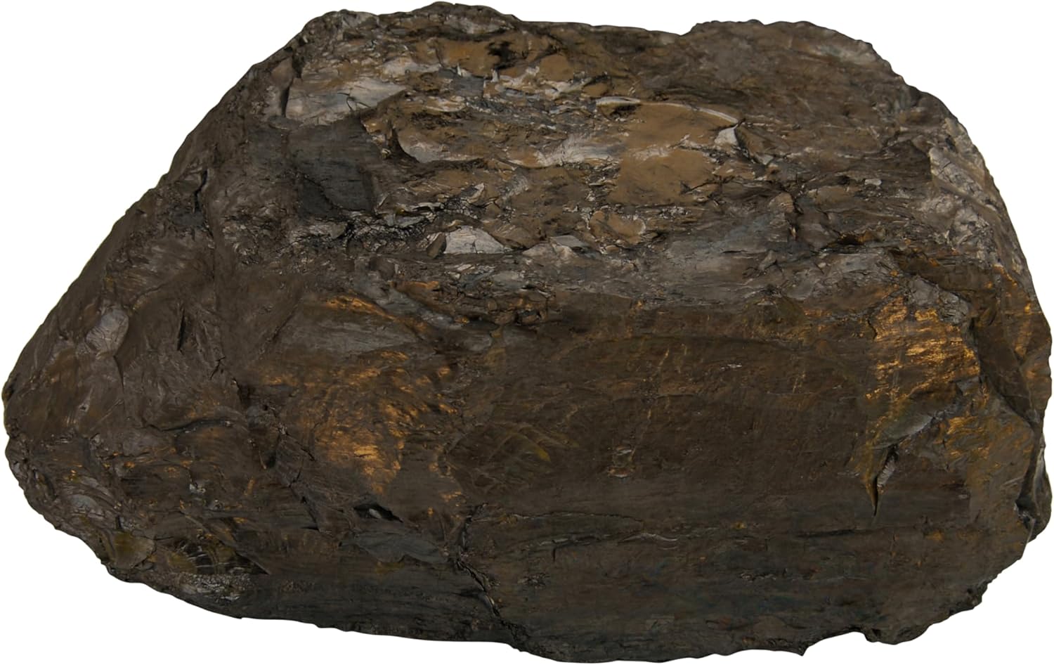 46.2 Pound Piece of Anthracite Coal for Carving or Display G6541