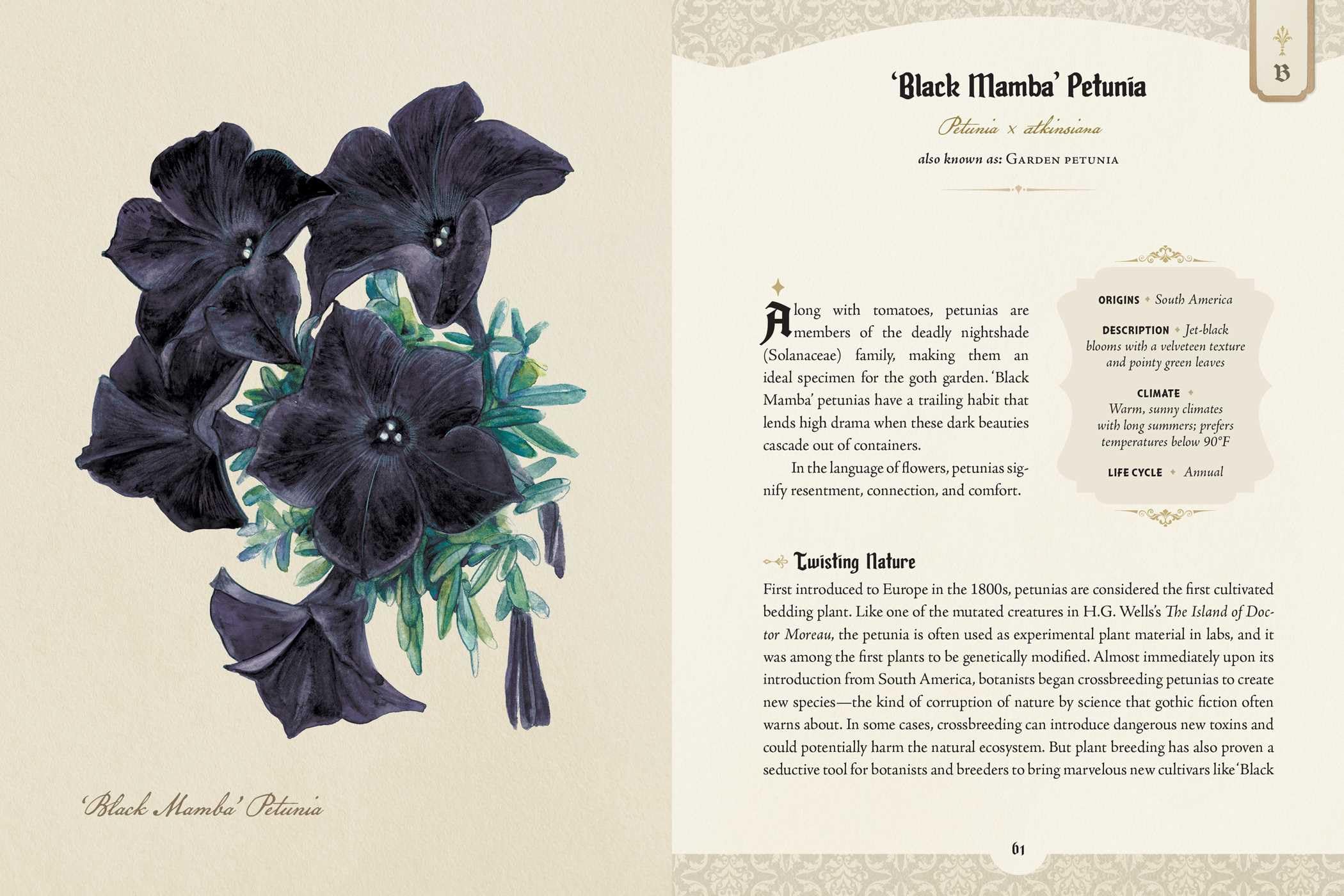 The Goth Garden: The Mystery, Beauty, and Lore of Dark Gardening