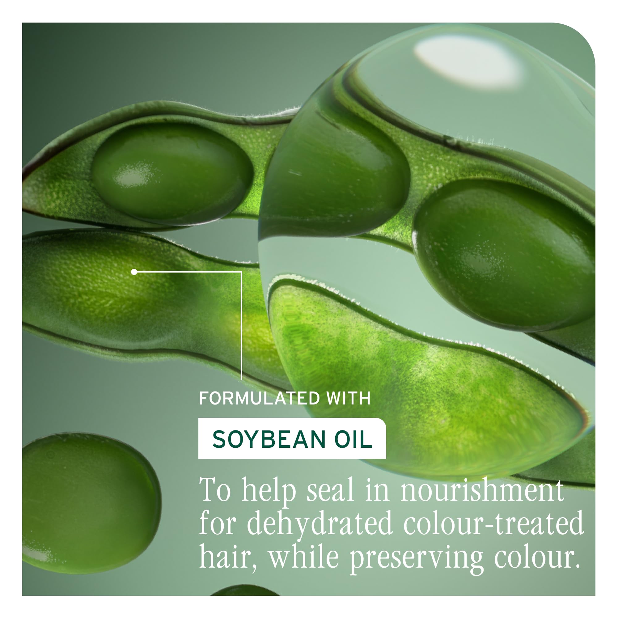 Biolage Color Last Shampoo, Helps Prevent Colour Fade, For Colour-Treated Hair, Enriched With Soybean Oil, 400ml - Image 4