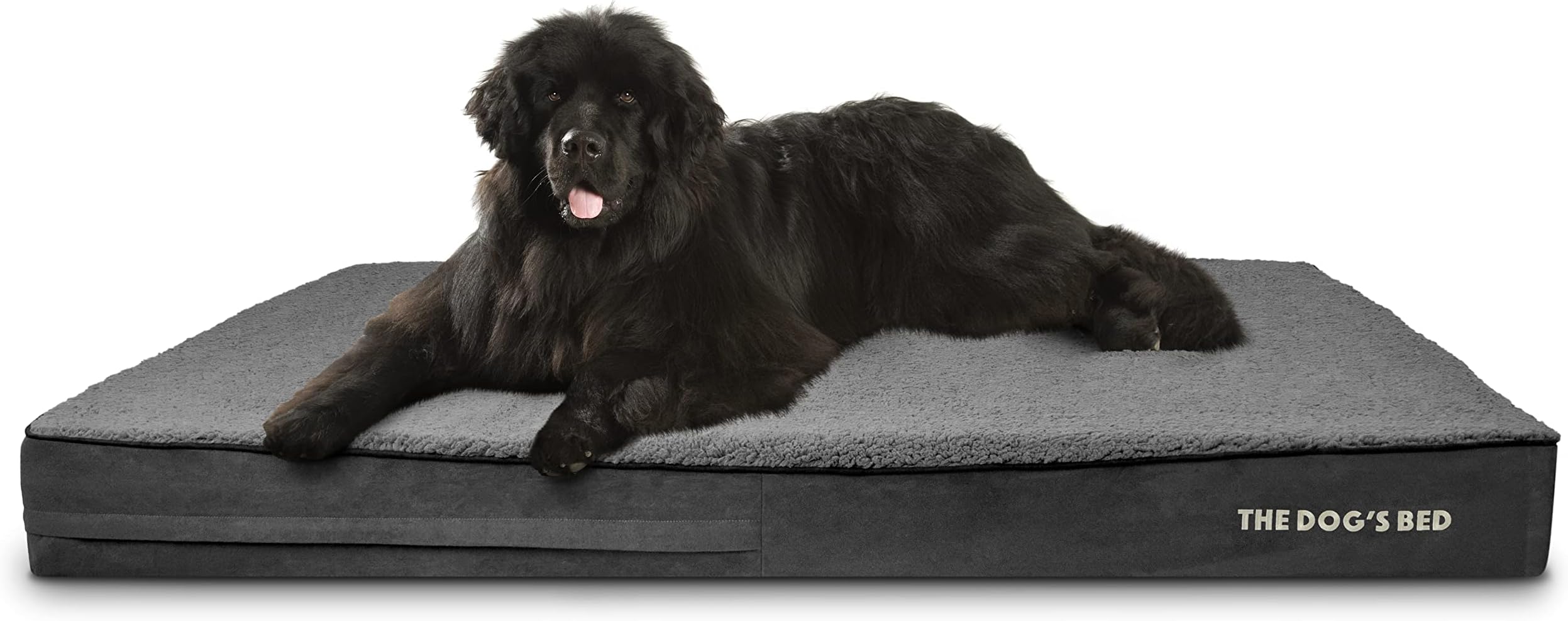 jumbo memory foam dog bed