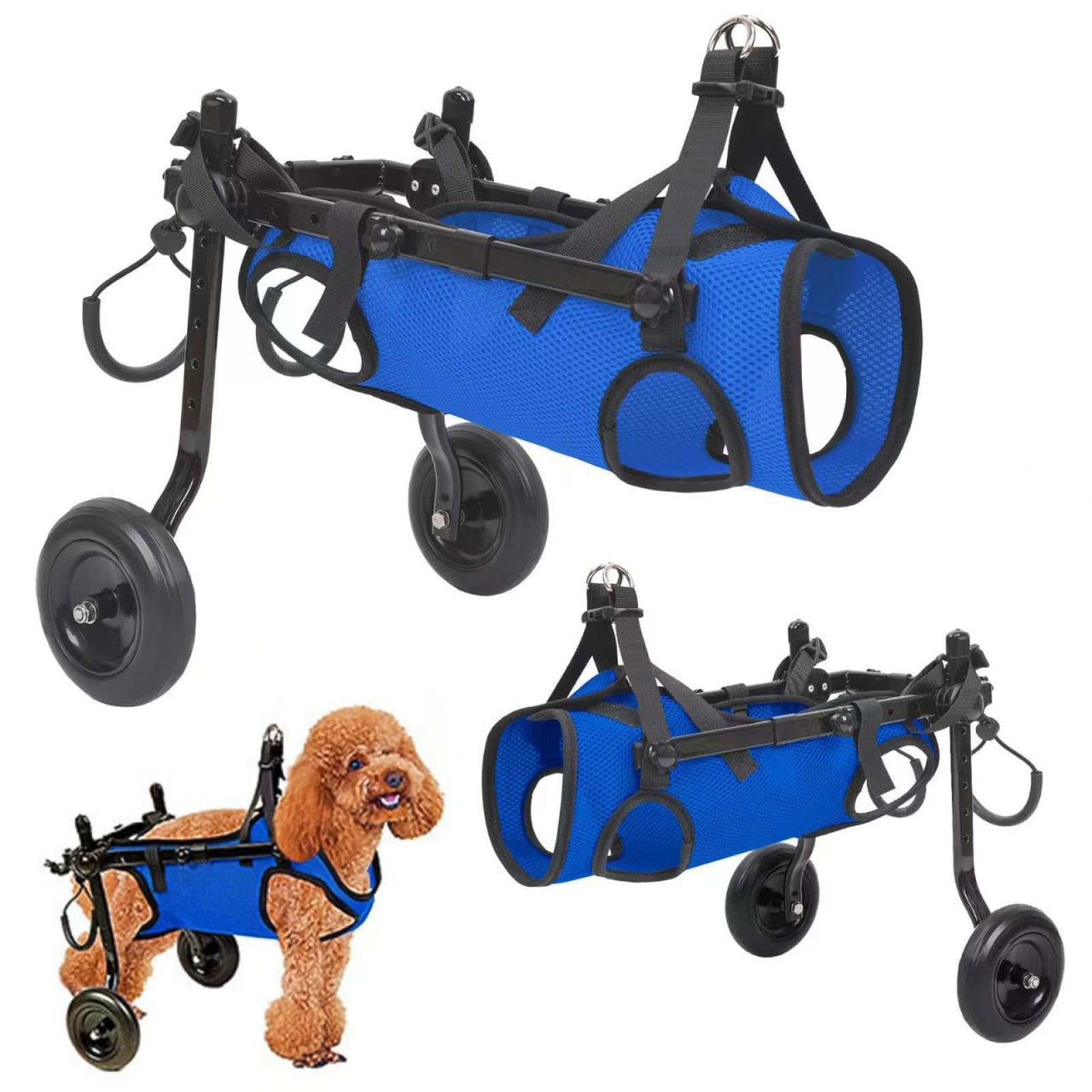 Fauteuil roulant pour pattes arrières de chien handicapé et chariot de mobilité