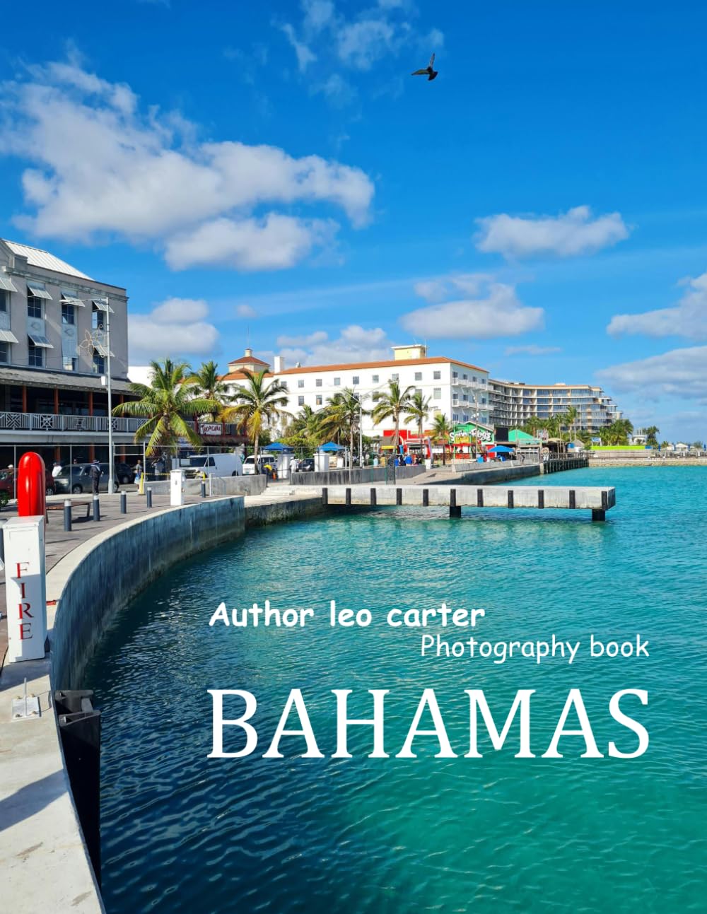 Bahamas: A Collection of 40 Scenic Photographs Showcasing the Beauty of Bahamas