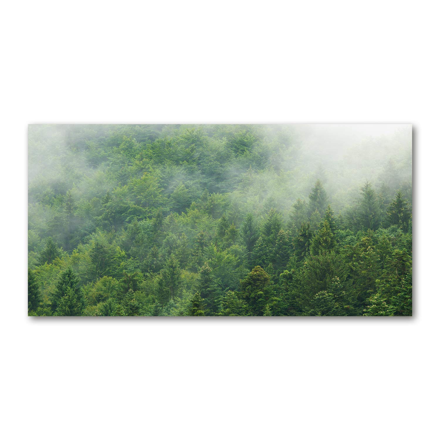Tulup Obraz na płótnie - 120x60cm - Wydruk na Ścianę do Salonu Kuchni Kanwa Canvas Zdjęcie - Tajemniczy las
