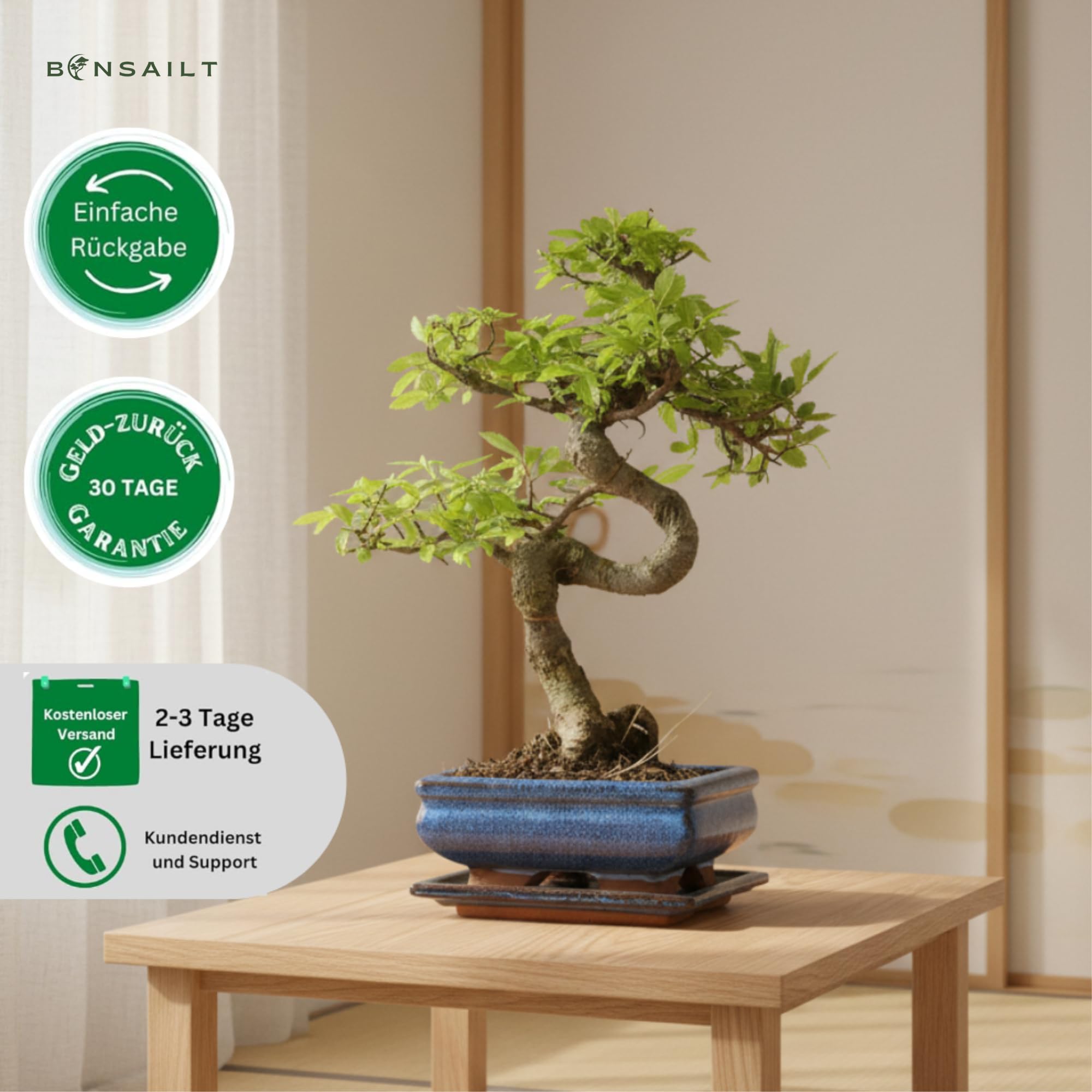 Bonsai Baum mit Keramik Blumentopf - Chinese elm - ca. 7 Jahre (15 cm Schale, ca. 7 Jahre)