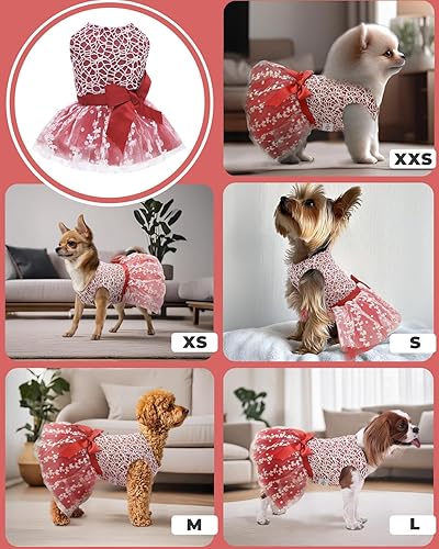 Miniatura 4 de CuteBone - Vestido rojo para perro, falda de cachorro, tutú bordado brillante con lazo, ropa para mascotas, para boda, fiesta de cumpleaños, ropa de