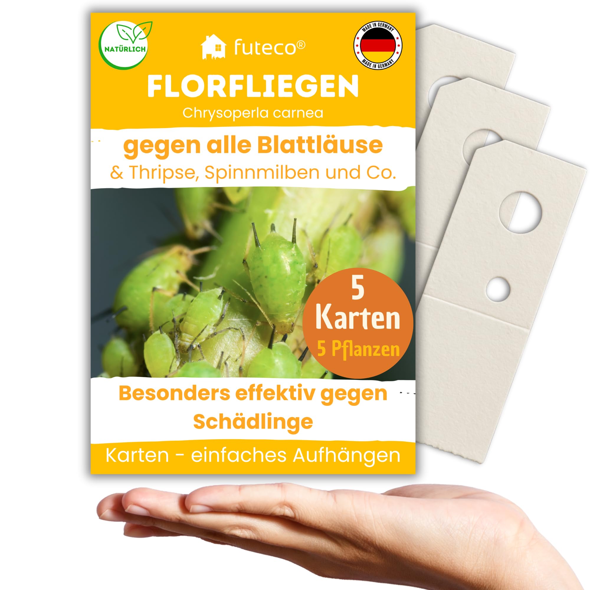 Futeco® – Florfliegenlarven gegen Blattläuse, Spinnmilben, Thripse & Co. - Karten zum einfachen Aufhängen - 5 Karten für 5-10 Pflanzen - starke Wirkung bei Gemüse-, Zier- & weiteren Pflanzen