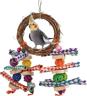 Wnvivi Parrot Chew Toys,Hanging Toy for Nibbling Parrot Chewing,Bird Chew Toys for Finches Small Birds Cockatiel