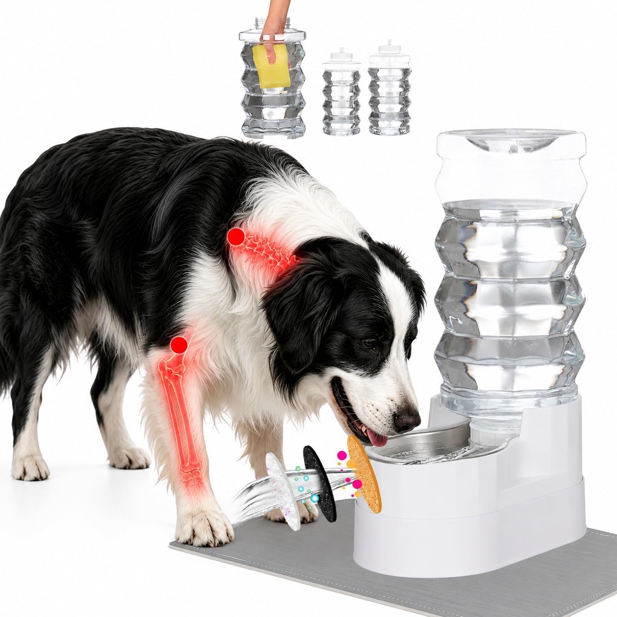 RIZZARI Dispensador elevado de agua para perros de acero inoxidable de 9 litros, bebedero automático por gravedad con diseño de hidratación filtrada, altura cómoda para beber para perros grandes y