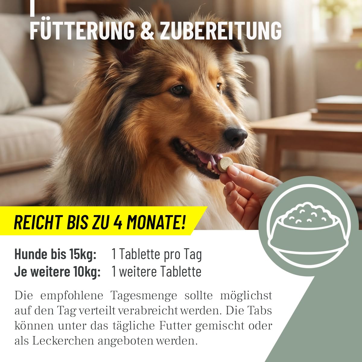 Comprimés de Zinc ReaVET pour Chiens 120 pièces - Haute Dose de vitamines C et E - comprimés de Zinc Plus vitamines pour Peau sèche, Perte de Poils