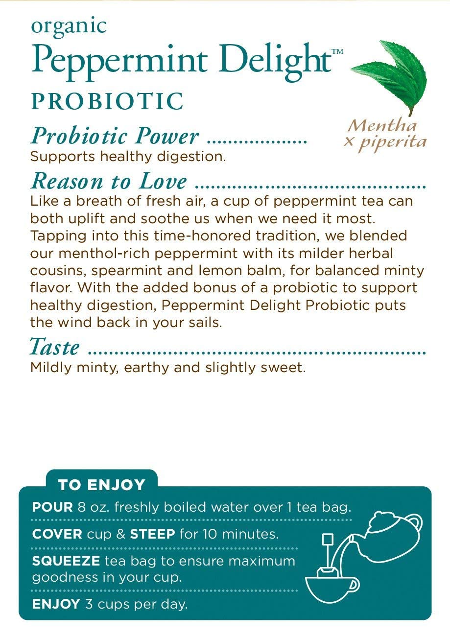 Traditional Medicinals Organic Peppermint Delight Probiotic Tea Supports Healthy Digestion (16 Count (Pack of 6))