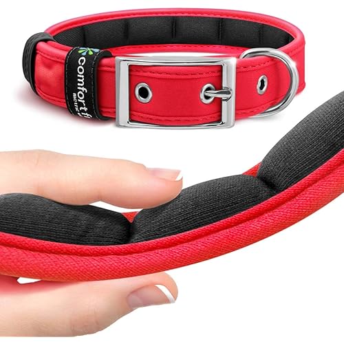 Comfort Fit Dog Collar - Soft Padded Dog Training Collar with Adjustable Buckle - Breathable and Lightweight Pet Collar - Durable, Heavy Duty Dog Collar - Red, Large - Neck 14.5"-22.5"