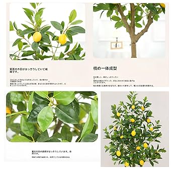 光触媒　人工観葉植物　ウォールグリーン　フェイクグリーン　レモンの木1.35 光触媒 光の楽園 レモンの木1.35m【インテリア フェイクグリーン