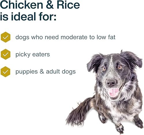 Miniatura 3 de JustFoodForDogs Alimento fresco congelado para perros, pollo de grado humano y arroz blanco, 18 onzas (paquete de 21)