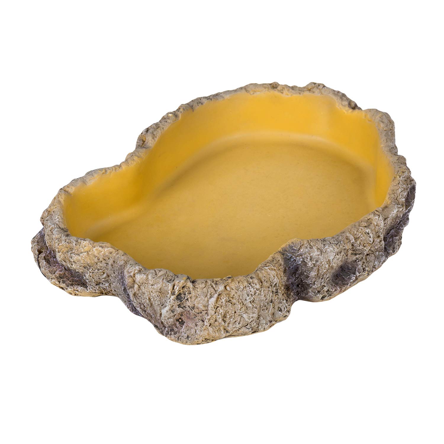 REPTI ZOO Reptile Food Dish Amazon.in Pet Supplies