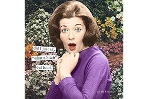 Anne Taintor Funny Cocktail Napkins for Adults