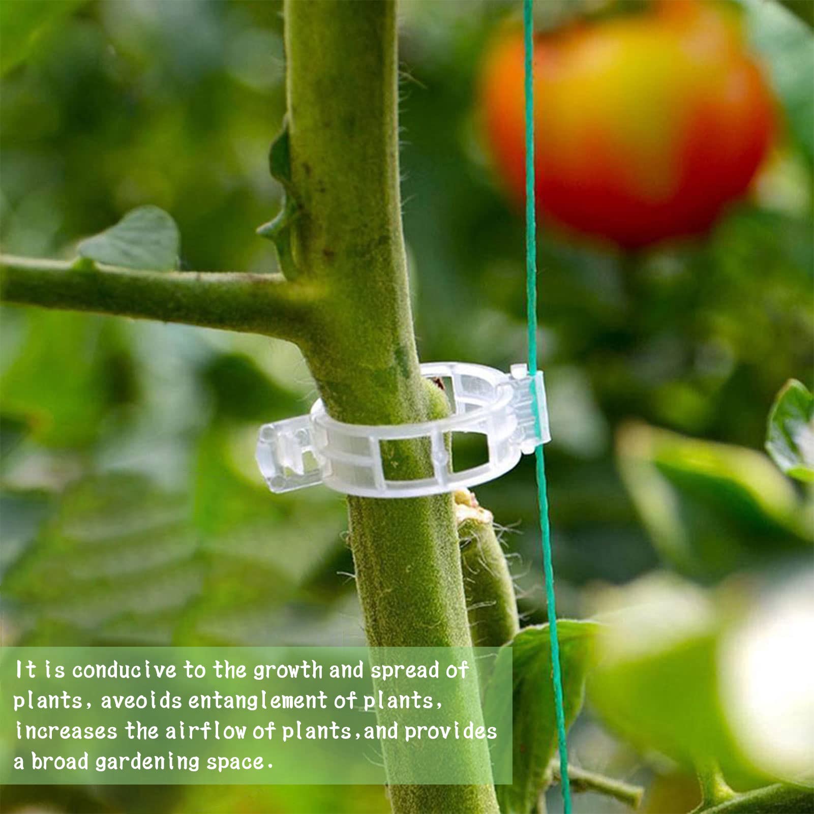 HUIKJI 6 ganci a rullo per piante, clip di supporto per pomodori con clip di supporto per pomodoro e fune per piante serre, fiori e vigne, kit per tralicci da 14,9 m