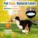 HOLYSTEED Jouets de chien doux pour chiens étrangers pour petits et moyens, 6-Pack | Animal mignon, Loud Squeak, Caoutchouc doux Latex, Floatable, Fetch pour Frenchie Poodle Cavalier Chihuahua Havanaise Aussie Border
