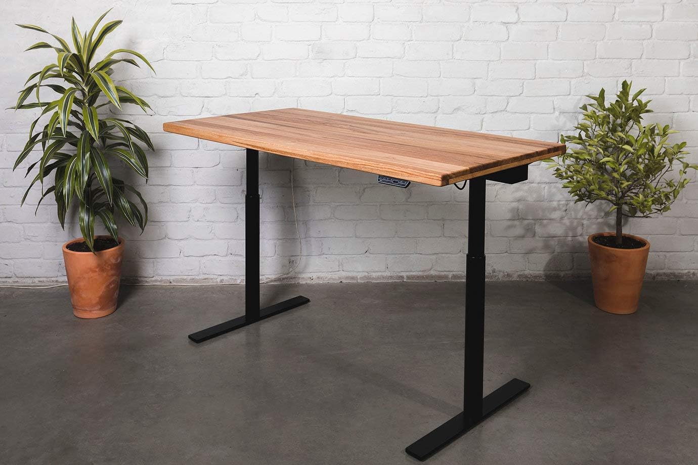 Height Adjustable Electric Standing Desk | Best Design Award Winner | Dual Motor Stand Up Desk | Programmable Memory Switch |Natural Solid OAK Desk Top (180 x 80, Golden OAK)