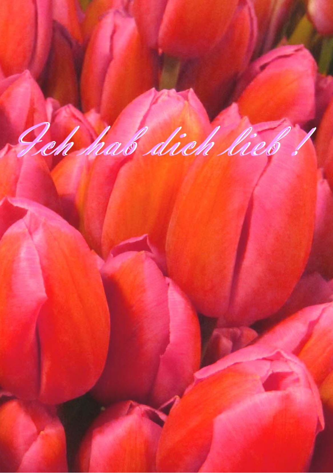 Tagebuch -Ich hab dich lieb!: Din A5, liniert