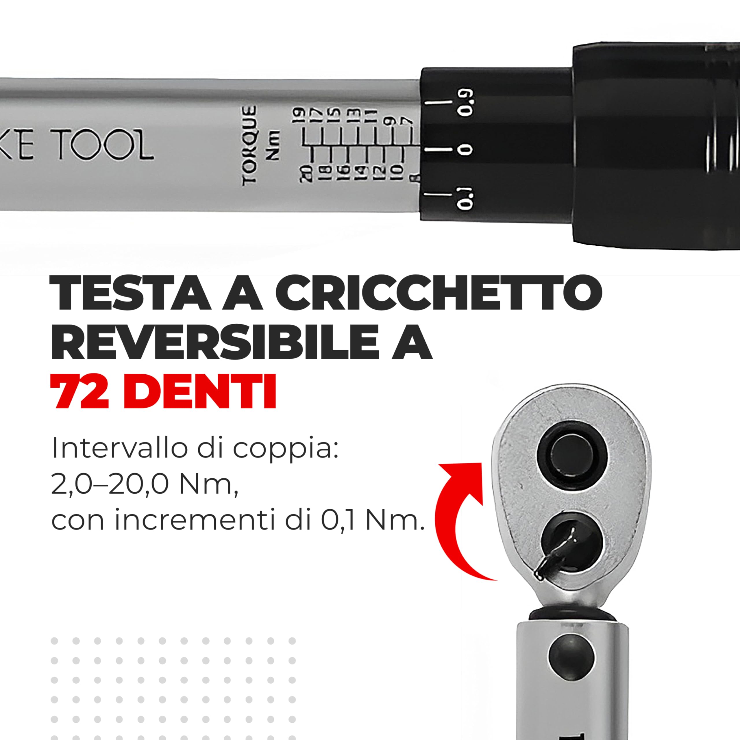 PRO BIKE TOOL Set Chiavi Dinamometriche 1/4" - 2-20 Nm - Kit Chiavi Torx e Brugola con Barra Estensione e Scatola - Chiave Dinamometrica per Bici Auto Moto - Accessori Bicicletta e Dinamometro