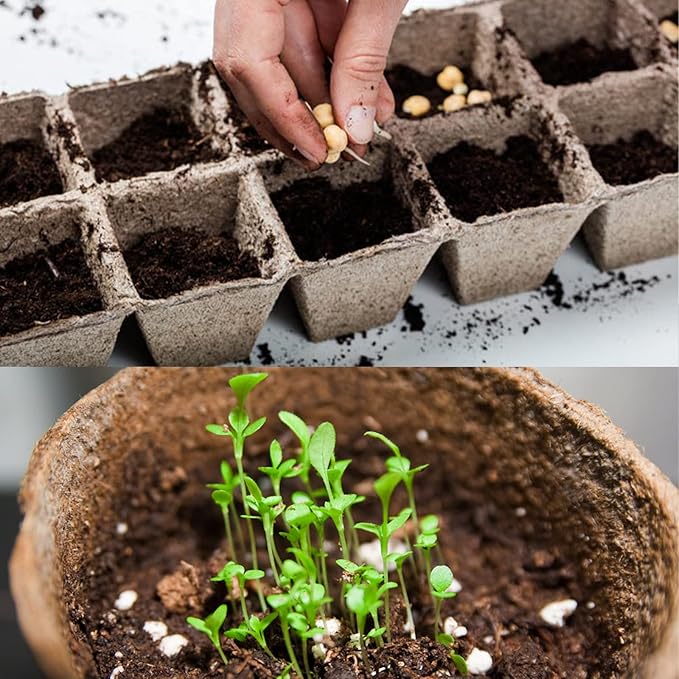 Perlites are volcanic rocks that have been heated to expand and create lightweight, porous particles. Perlite is commonly used in gardening to improve soil aeration and drainage. This 1 qt bag of Perlite is ideal for mixing with potting soil, especially for plants that require well-draining soil conditions, such as succulents and cacti. The Perlite particles also help prevent soil compaction, allowing plant roots to grow more freely and access oxygen more easily.