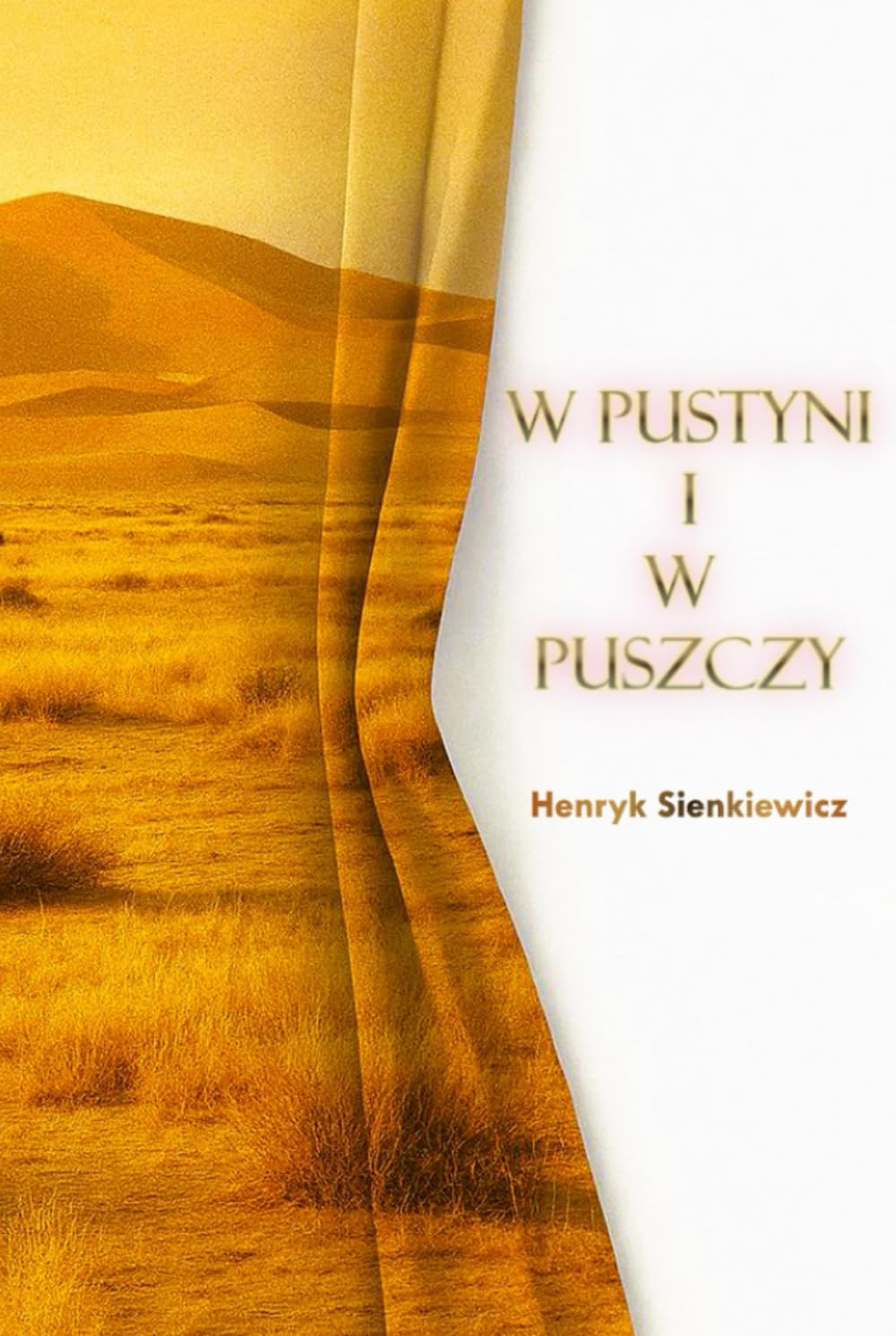 W pustyni i w puszczy (Polish Edition)      Hardcover – December 17, 2025