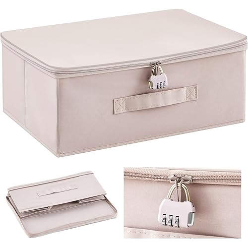 Discreet Lockable Toy Bag Storage Organizer Toy Bag Storage Bins Case with Zipper Lid 15 x 10 x 6.3 Inches for Women and Men Clothes Container(Light Purple)