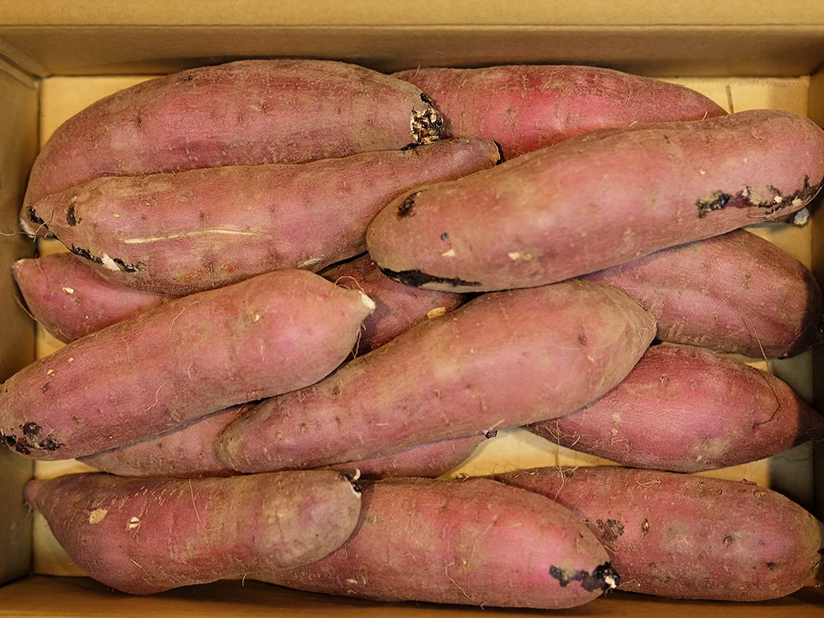 Amazon.co.jp: 茨城県産（JA茨城旭村）さつまいも 旭甘十郎 紅はるか