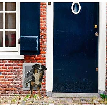 ruff weather all climate dog door