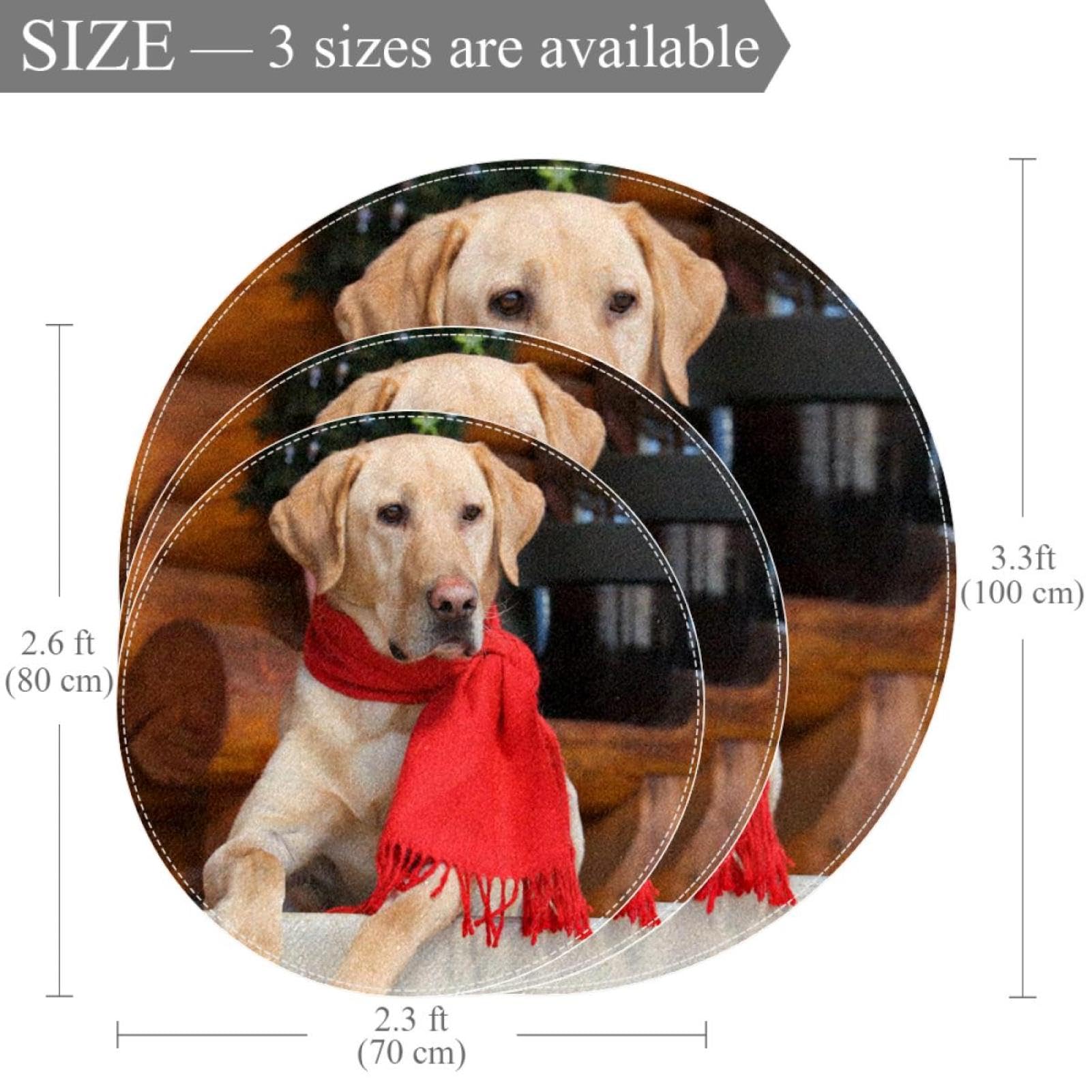 Amazon.co.jp: ラウンドエリアラグ、スモールラグ、ウォッシャブルラグ