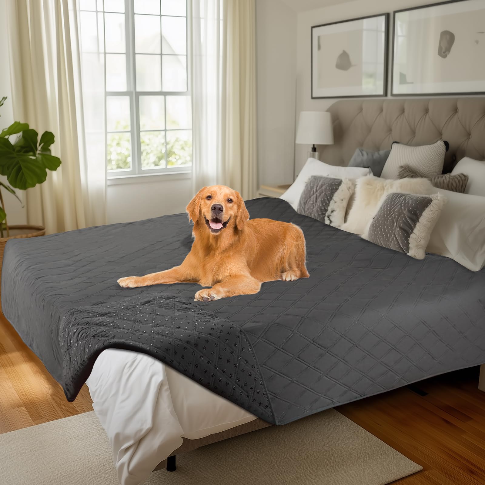 luciphia Copridivano per Cani Impermeabile, Coperta per Cani 100% Impermeabile con Punti Antiscivolo Tappetino Protezione per Mobili Bambini Cane Gatti Lavaggio in Lavatrice Grigio 208_x_259cm