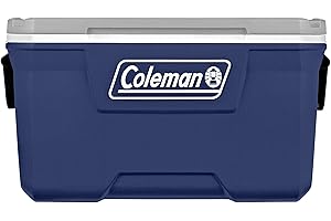 Coleman 316: The Epitome of RV Coolers