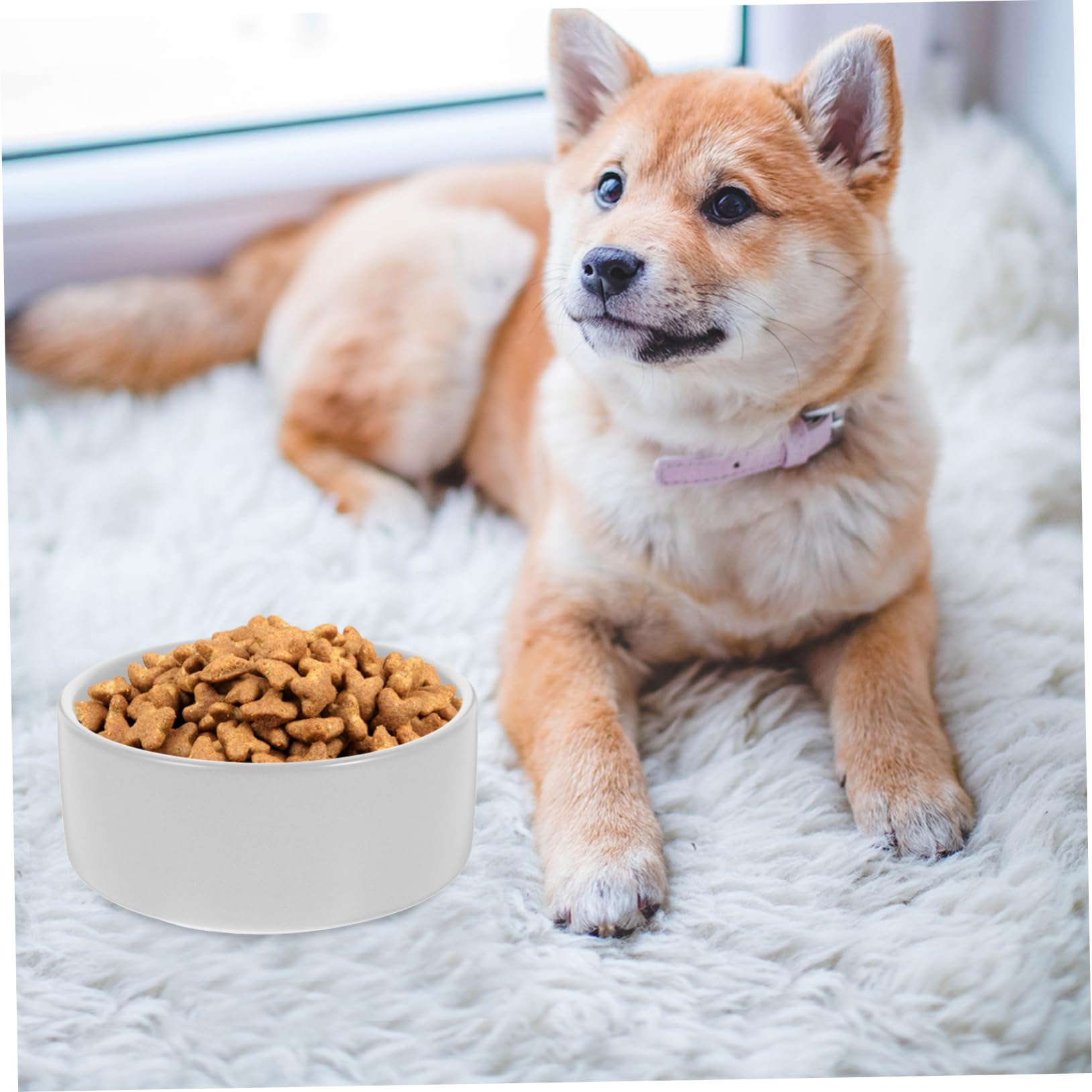 HEMOTON Comederos de Cerámica para Perros y Gatos con Soporte de Madera Antideslizante Comedero Mediano para Alimento y Agua para Mascotas
