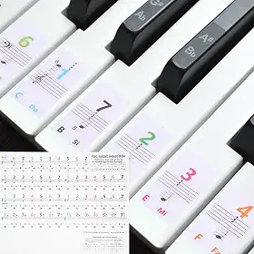 Generic Adesivos de teclas de piano para teclas de 88/61/54, adesivo de teclado com números, guia de notas de piano, removível para iniciantes que aprendem, colorido