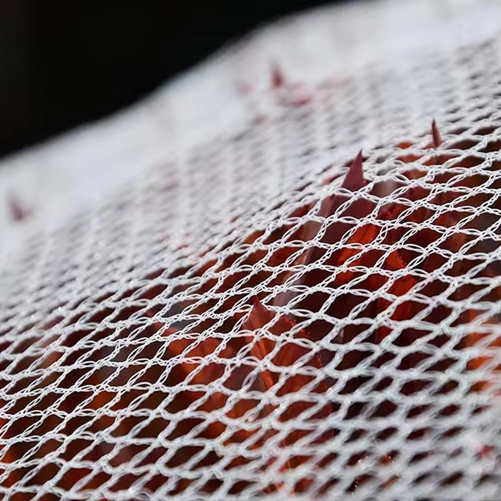 Rete Antigrandine, Telo Antigrandine per Orto Forte e Non Facile da Strappare per Proteggere Frutta Verdura e Piante(6x6m)