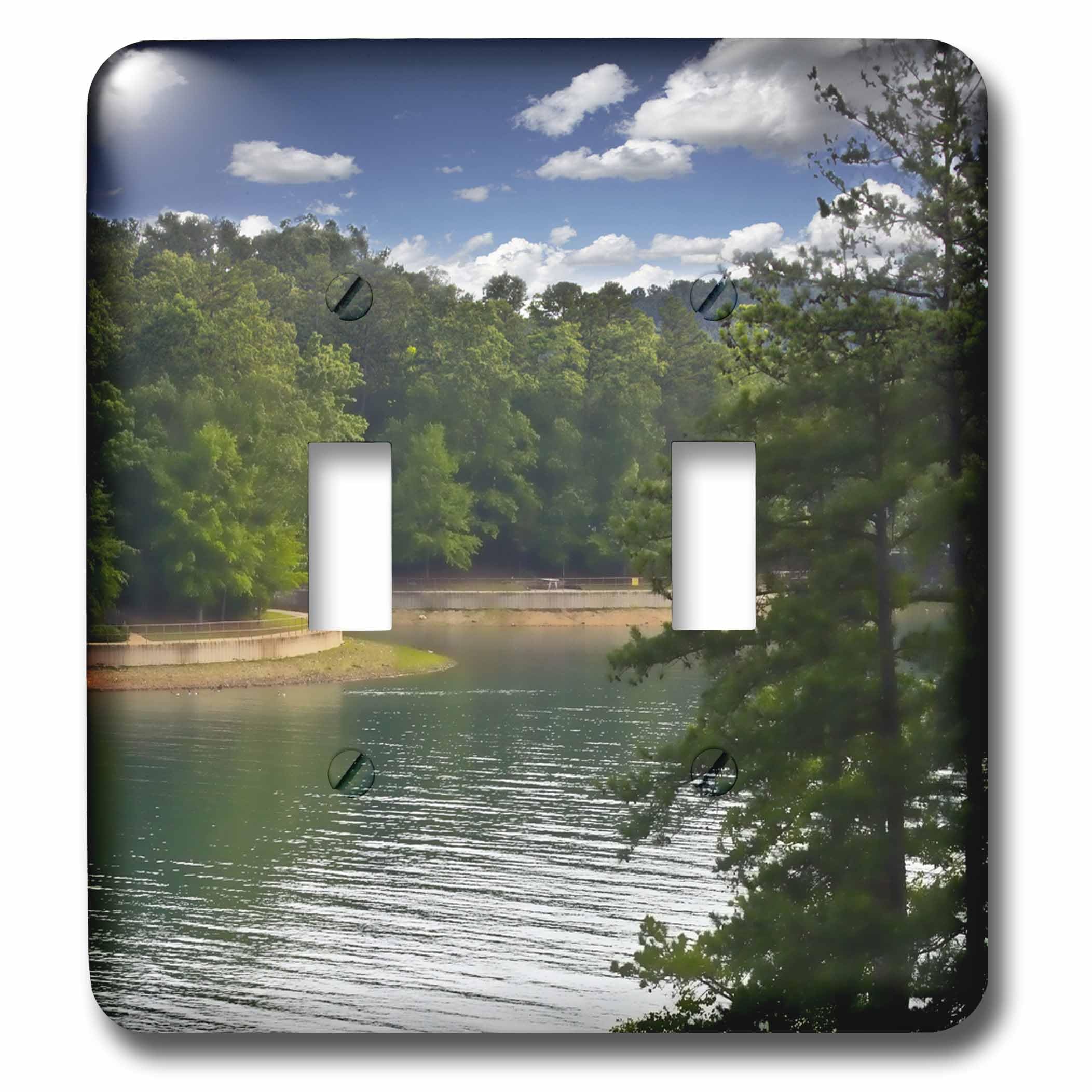 Interrupteur à baïonnette Lake Lanier Georgia décoration murale artistique haut de gamme